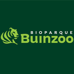 Buinzoo